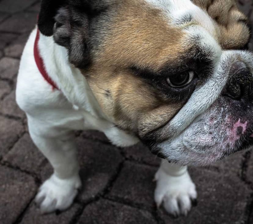 Unauth title XqiyAvNH